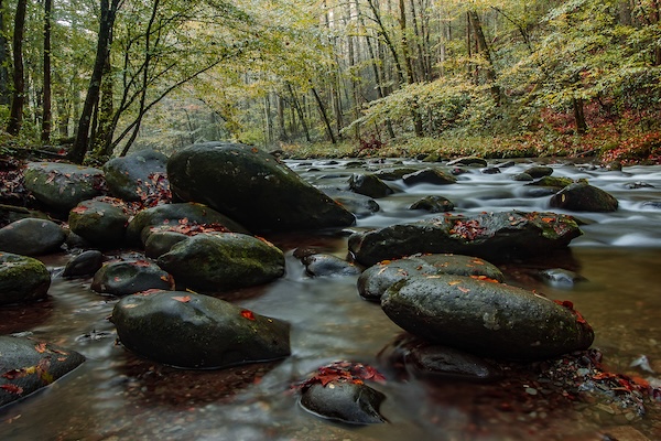 Mountain Stream