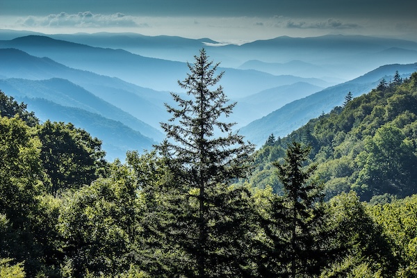 Newfound Gap