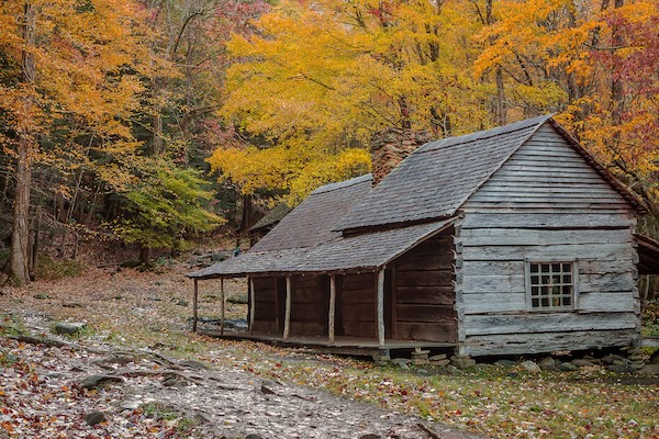 Ogle Cabin Roaring Fork