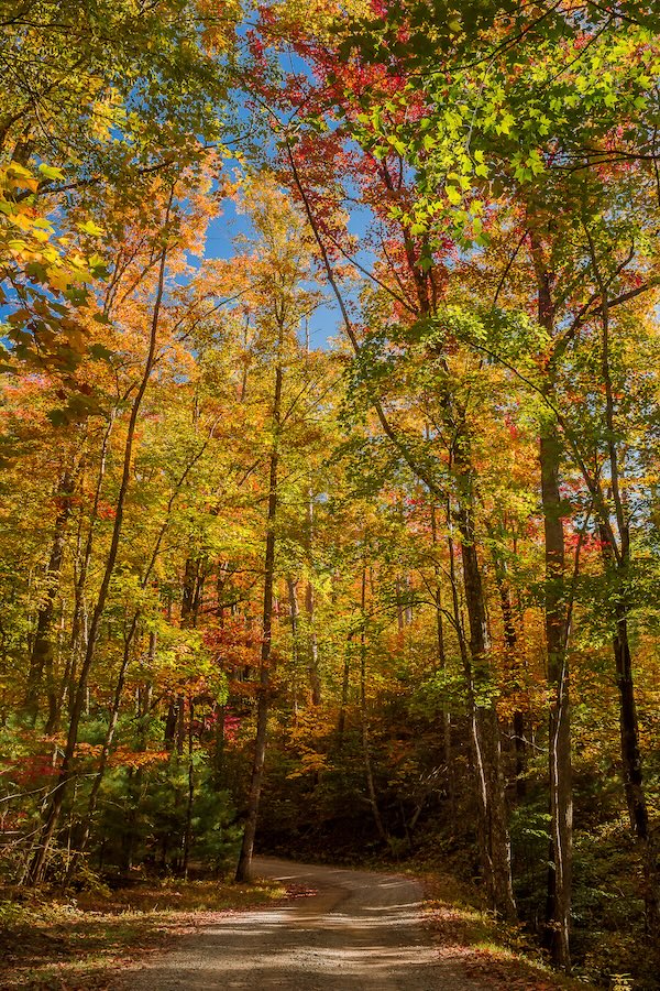 Rich Mountain Road