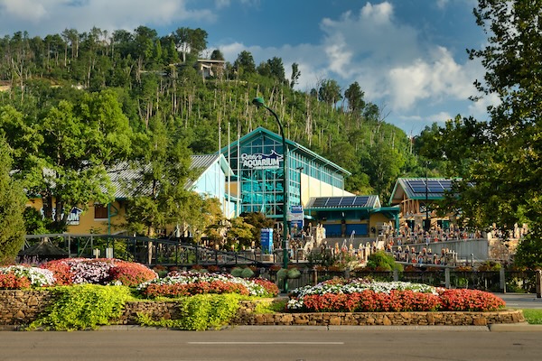 Ripleys Aquarium Gatlinburg