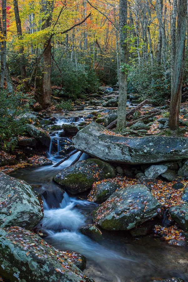 Roaring Fork Motor Trail
